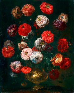 Corn poppy by Bartolomeo Bimbi